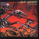 The Beat Farmers - Viking Lullabys - Cassette tape on Sector 2 Records