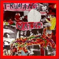 Trumans Water - Godspeed The Punchline - Vinyl album on Homestead Records 1993