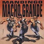 Man Dingo - Macho Grande - Vinyl album on Dr Strange Records