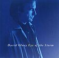 David Olney - Eye Of The Storm - Vinyl Album